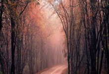 开云官网-光影永不谢幕：当瞬间化为永恒，心灵便找到归处