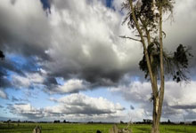 开云体育登录-破壁者崛起：新生代如何用血肉之躯撞碎NBA旧秩序