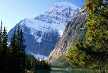 开云体育登录-罗马客场挑战佛罗伦萨:贝尔纳代斯基的替代之路