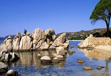 开云体育-王者之师锋芒尽显！深度解析夺冠热门球队的统治级表现