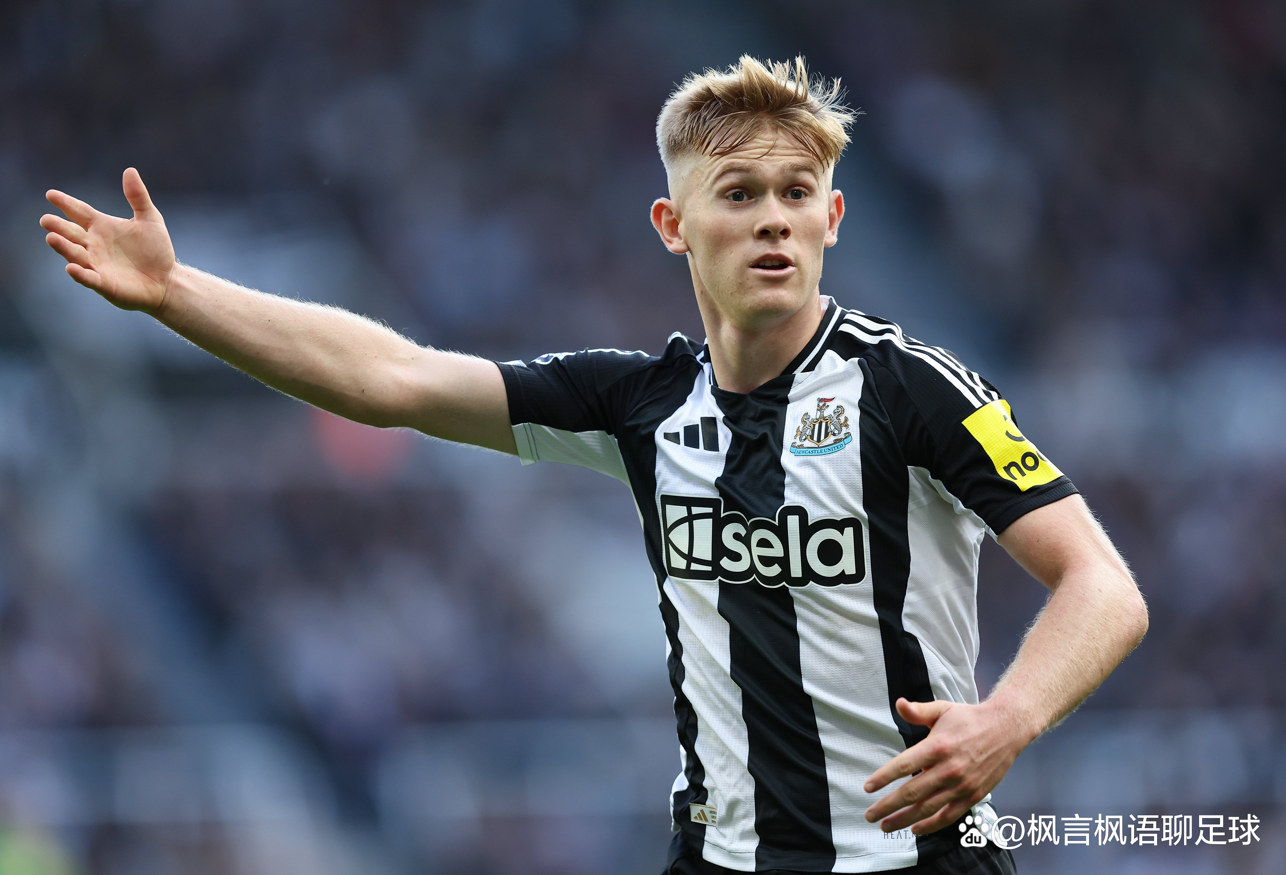 西汉姆联高层撤换主帅,寻求转变的简单介绍 西汉姆联高层撤换主帅,寻求转变的简单介绍