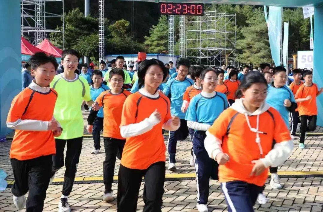 开云体育app-擅长团体项目，选手个人赛绽放光芒