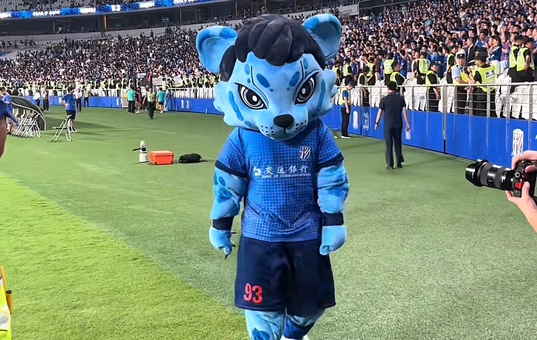 申花主场取胜，晋级希望大增，冲击冠军的简单介绍