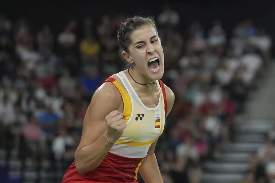 法国羽毛球队横扫韩国羽毛球队，马琳绝境逆转的简单介绍