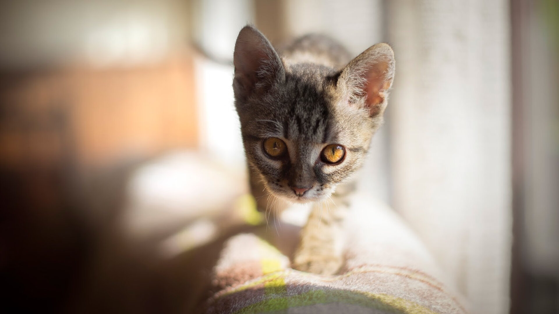 神迹，范弗利特末节18分接管比赛，马刺淘汰火箭