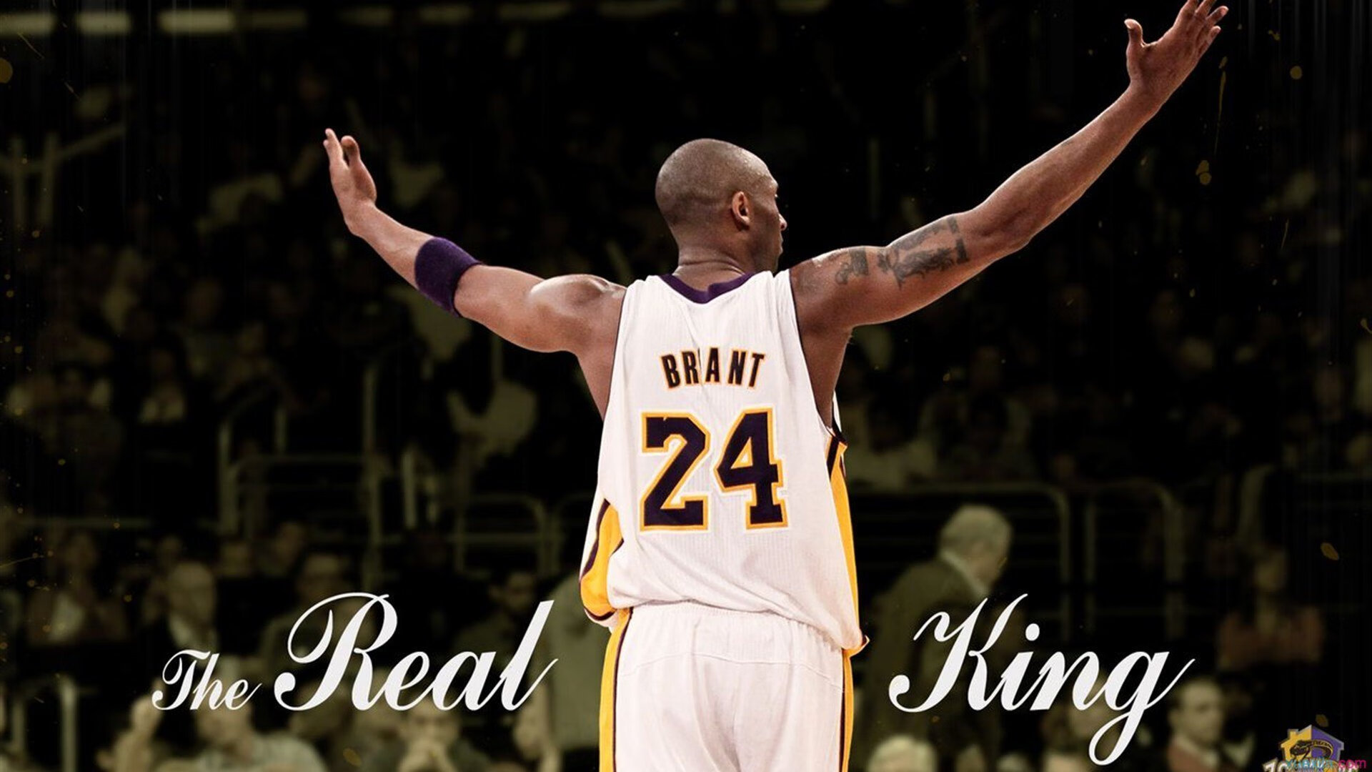 东方启示录,深圳狂胜奇才如何预言小贾伦2026世界杯的统治级表演