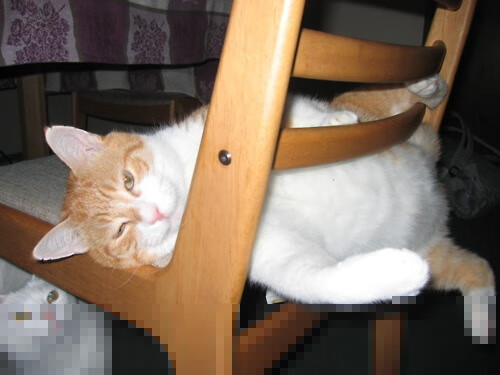 外交角力与绿茵传奇,土耳其施压喀麦隆,内马尔德甲争冠战称王