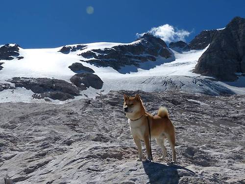 开云体育入口-隔空对话，热火强压与拉梅洛接管，篮球宇宙的平行交响