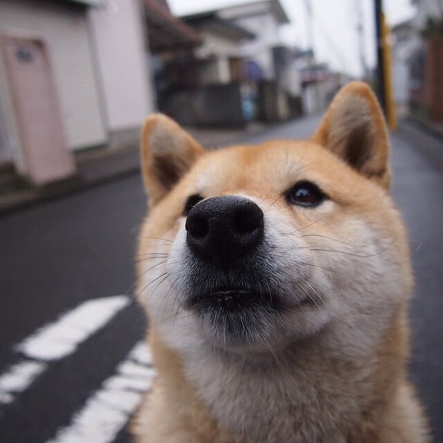 压哨绝杀!全新布雷默拯救巴黎,冰封宿命迎来破晓