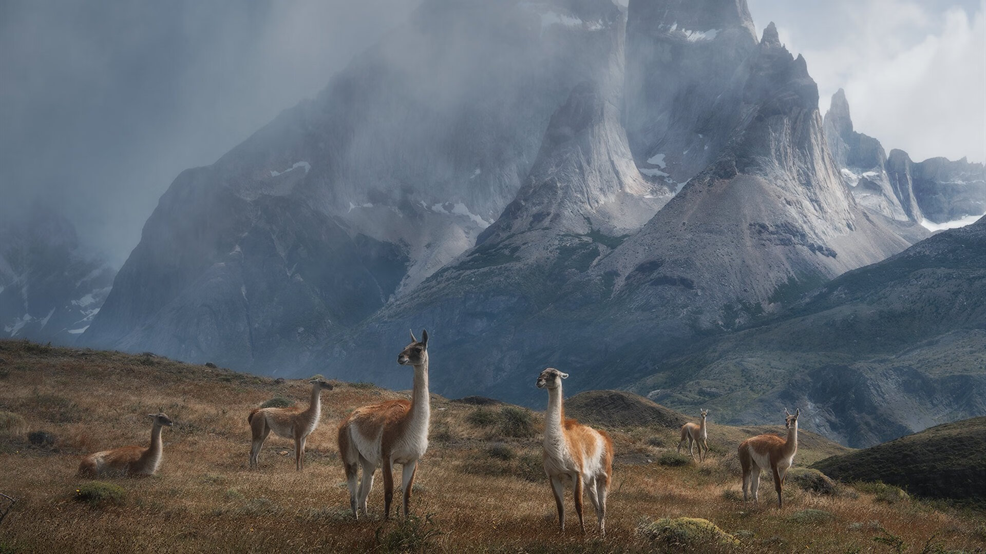 封神！抢七之夜哈兰德上演完美统治，一战奠定传奇基石