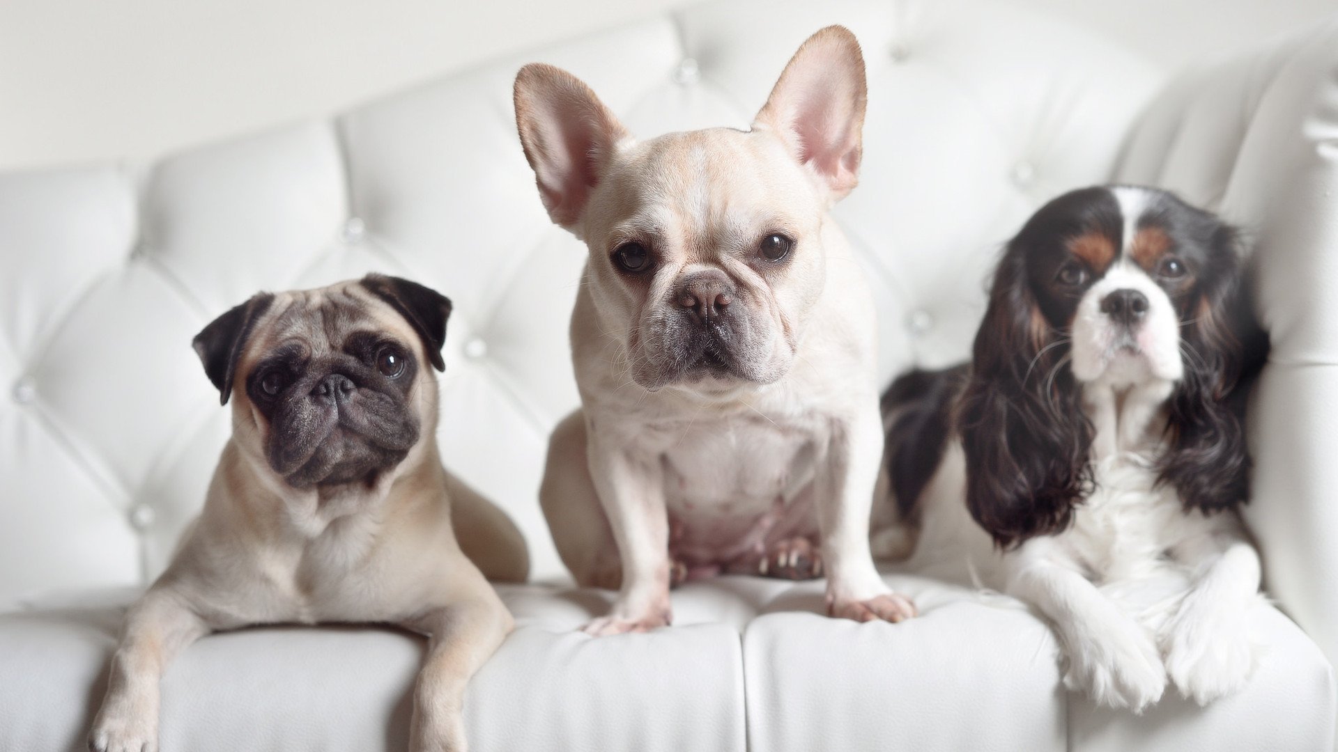 虚拟与现实交织的篮球之夜，利拉德数据风暴后，凯尔特人悄然带走胜利