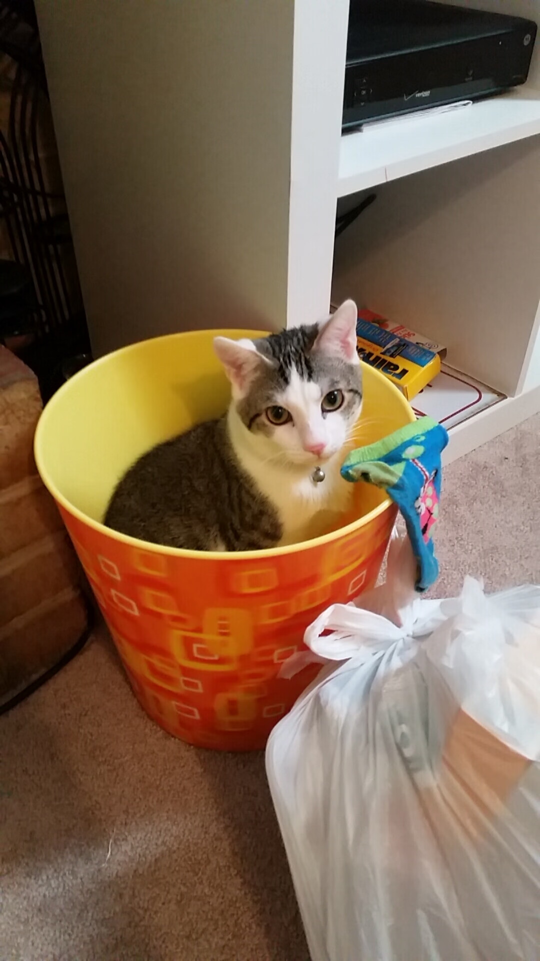 托尼展现巨星价值,尼日利亚正面击溃加拿大