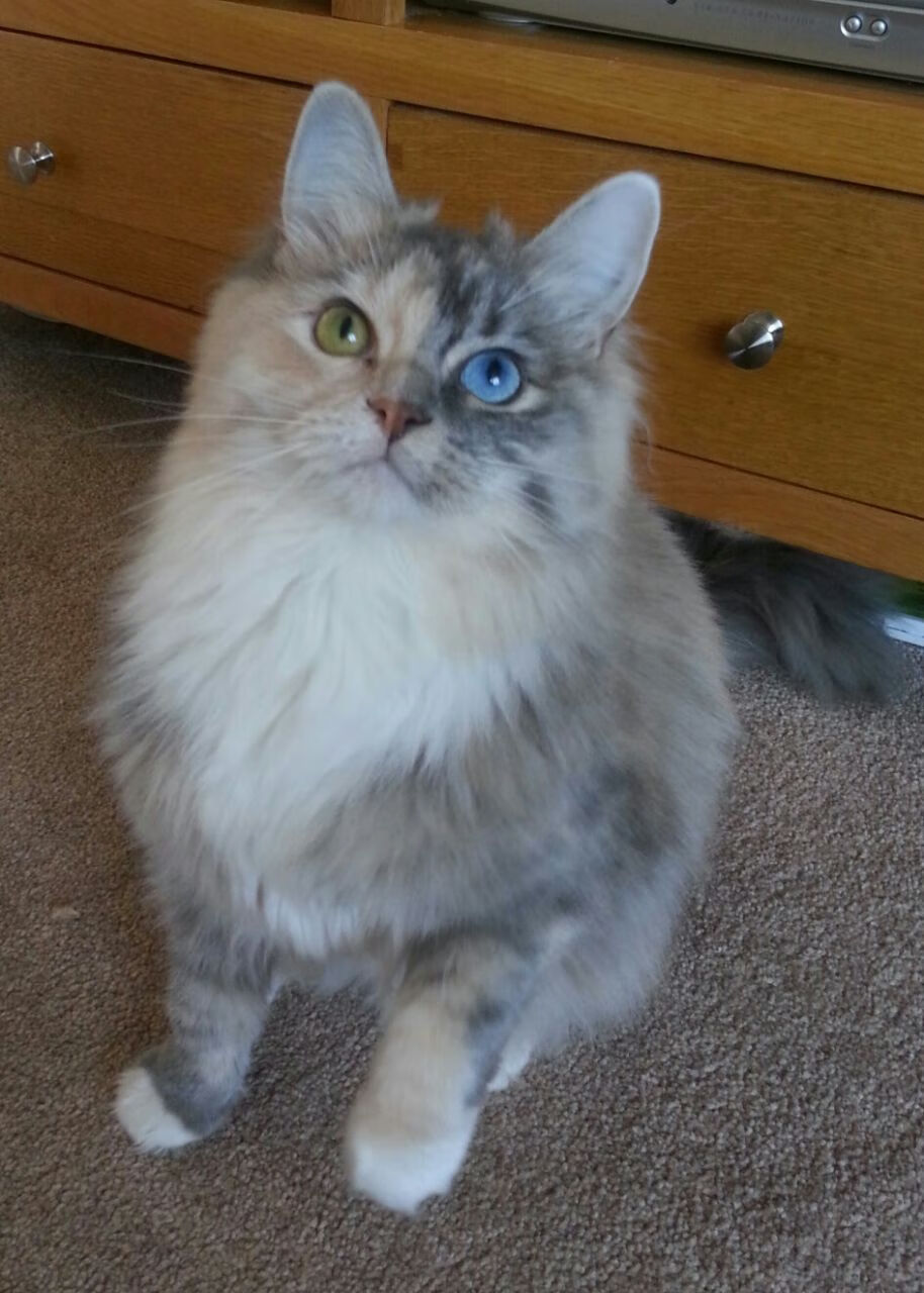 年度焦点之战，雄鹿逆袭翻盘，山西队憾失好局