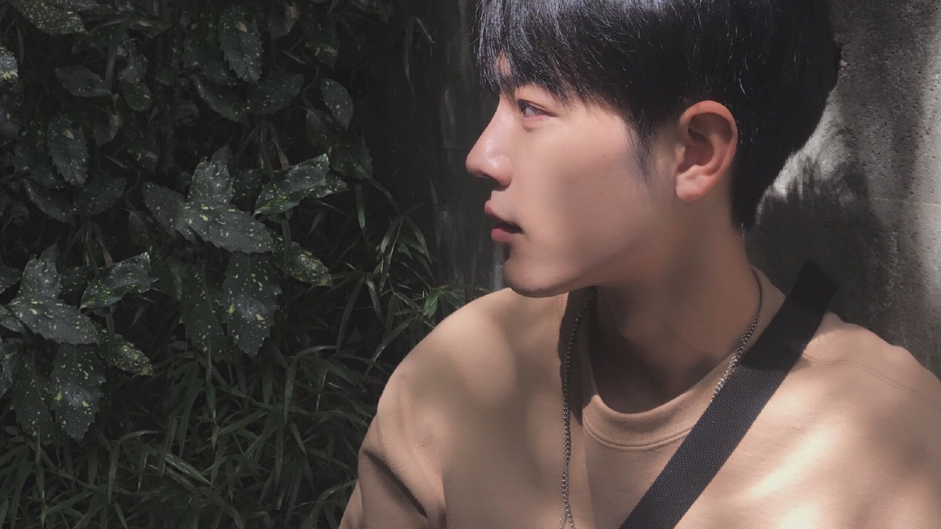 铁壁德赫特，当个体爆发遭遇整体锁链