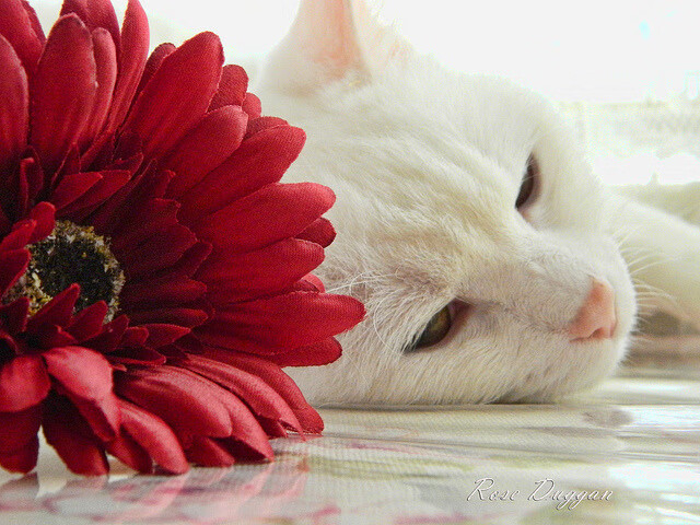 魔术时刻，哈登连珠炮击溃山西，比赛悬念三节断电