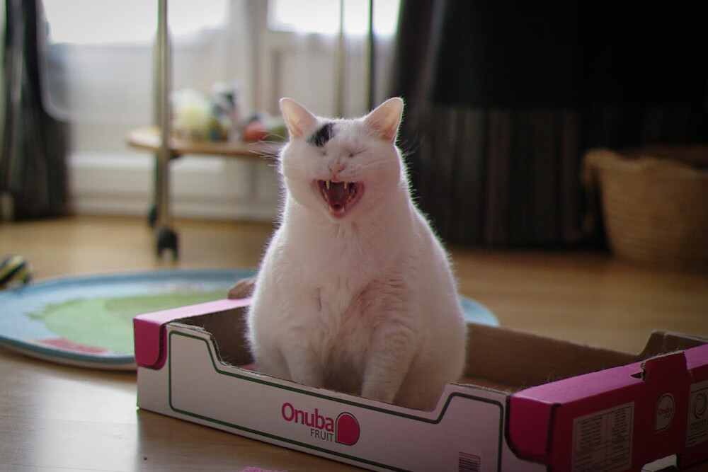 开云体育官网-F1年度争冠之夜，李刚仁在绿茵场赛道上的决定性超车