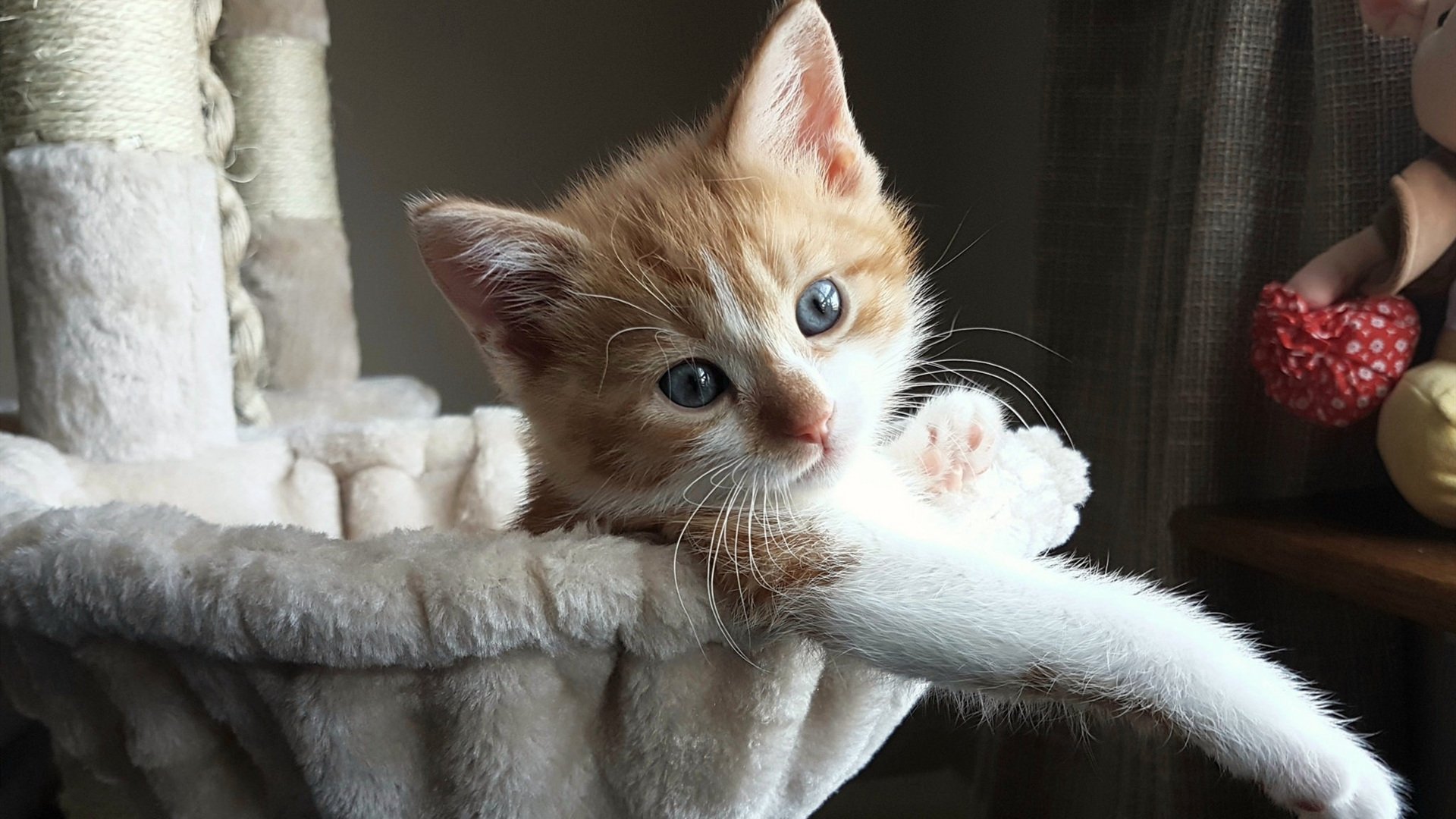 开云体育下载-铸就防线丰碑，阿劳霍于年度焦点之战中一夫当关