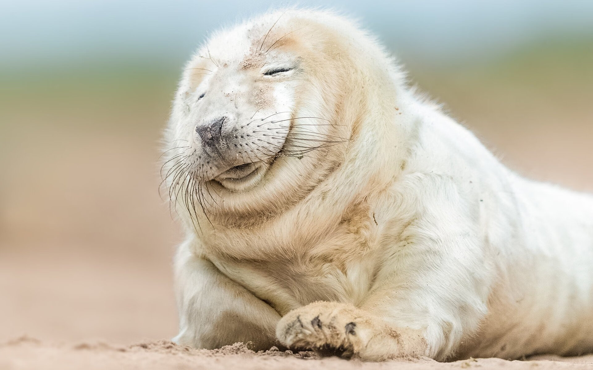 开云体育APP下载-双线战场，利拉德满分封神与76人掀翻广厦的胜利密码